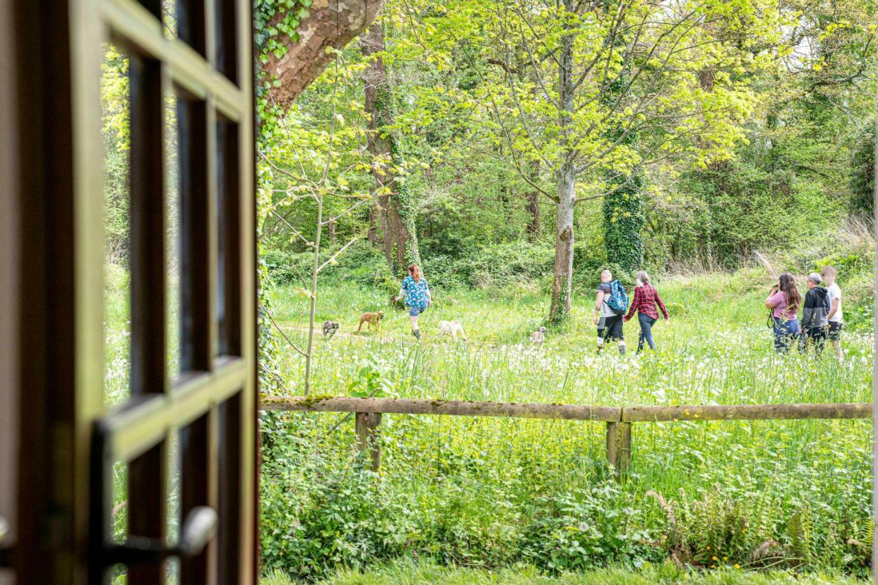 Maison De Charme A Proximite De Pau - 3 Chambres - 6 P - Jardin Sendets  Eksteriør billede